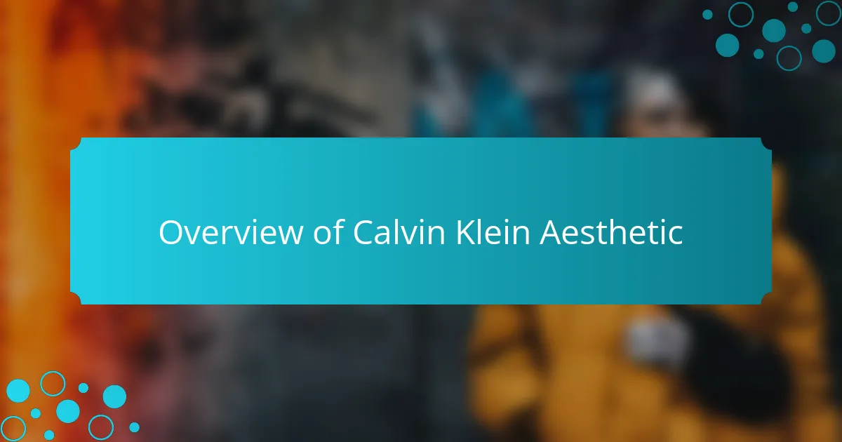 Overview of Calvin Klein Aesthetic