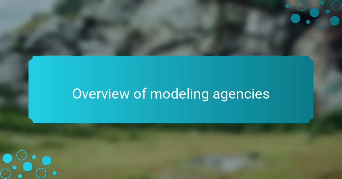 Overview of modeling agencies